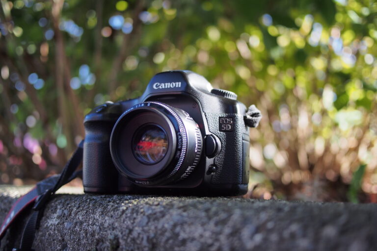 BEST DSLR CAMERA UNDER 50000